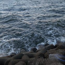 爆風ショアジギング!