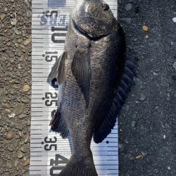 イチノ兄弟、釣果!