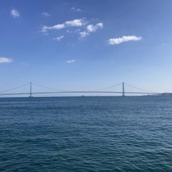 久々のグレ狙い