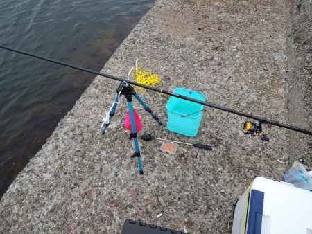 秋のアジ釣り 良型が少し