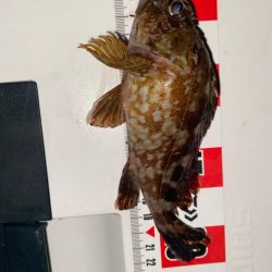 チヌ狙いのはずが?