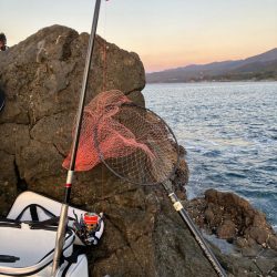 南紀の磯でフカセ釣り