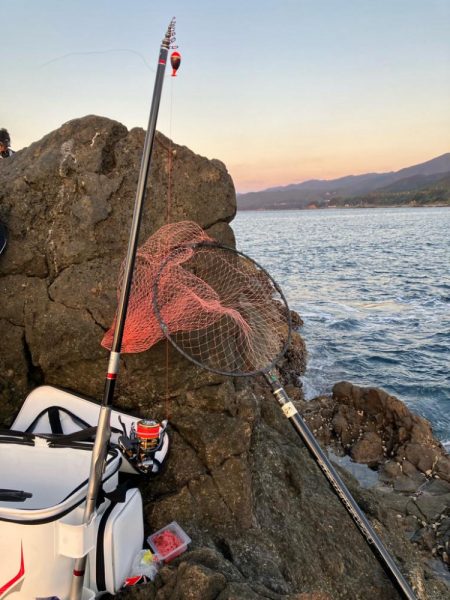 南紀の磯でフカセ釣り