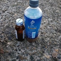 清掃活動：エギング