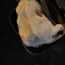 清掃活動：久しぶりの夜釣り