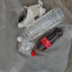 清掃活動：今期ラストのティップラン