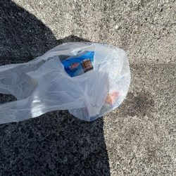 清掃活動：木っ葉グレ！！