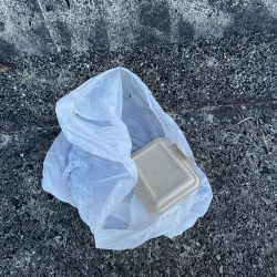 清掃活動：寒くてアイゴの季節