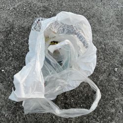 清掃活動：久しぶり除いてアジタイム