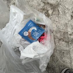 清掃活動：グレ降臨