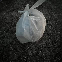 清掃活動：タコさん