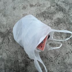 清掃活動：ギリギリサビキ