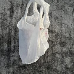 清掃活動：アジおらん