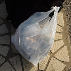 清掃活動：落ちギス釣り　午後に時合