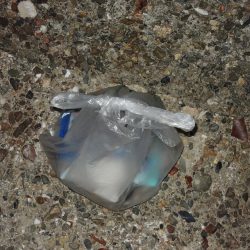 清掃活動：アジ釣り　回遊は夕暮れ後