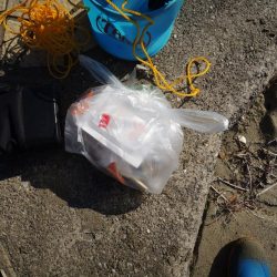 清掃活動：キス釣り　嬉しい外道