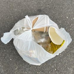 清掃活動：デカアジ　釣れてます