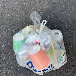 清掃活動：大あじ、チヌの活性高いです