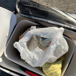 清掃活動：波止グレ釣り