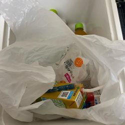 清掃活動：船カワハギ