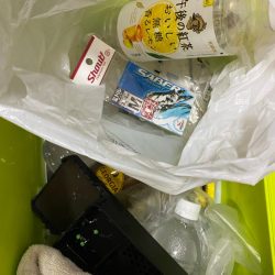 清掃活動：タチウオ＆カワハギ