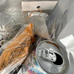 清掃活動：シロギス釣り