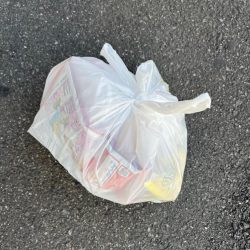 清掃活動：ハマチ  青物釣れました