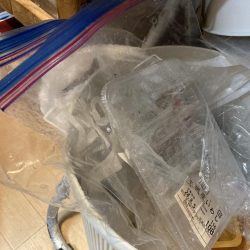 清掃活動：久々のグレ狙い