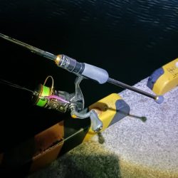 寝坊した アジング