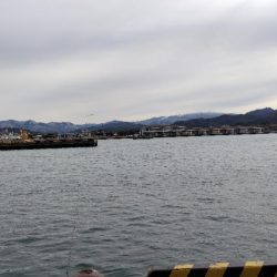 クリスマス釣行