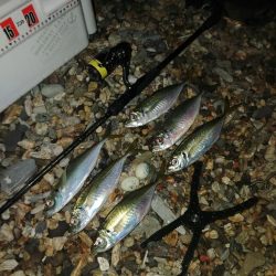 風裏フロートゲーム~