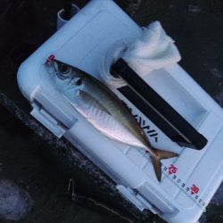 フロートゲーム~