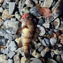 久しぶりの釣行