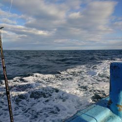 いわき・古峯丸でのマダイジギング