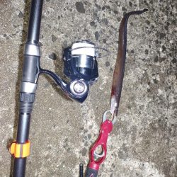 ウツボ祭りの釣り納め