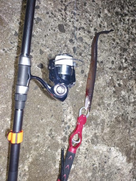 ウツボ祭りの釣り納め