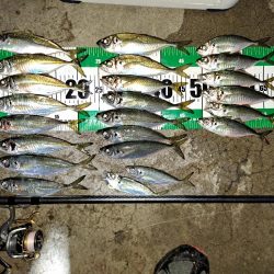 夜明け迄の勝負!