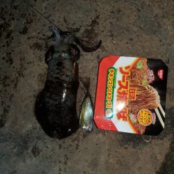 風強くなる前に、行って来ました。