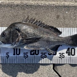 イチノ兄弟、釣果!