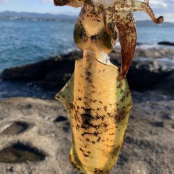 冬型の気圧配置