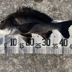 イチノ兄弟、釣果!