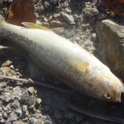 秋なのか冬なのか