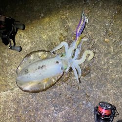 メリーツリシマス!