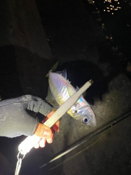 爆風アジング ぜひご参考に