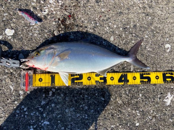 極寒ショアジギング