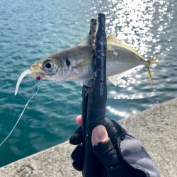 デイアジングで入れ食い