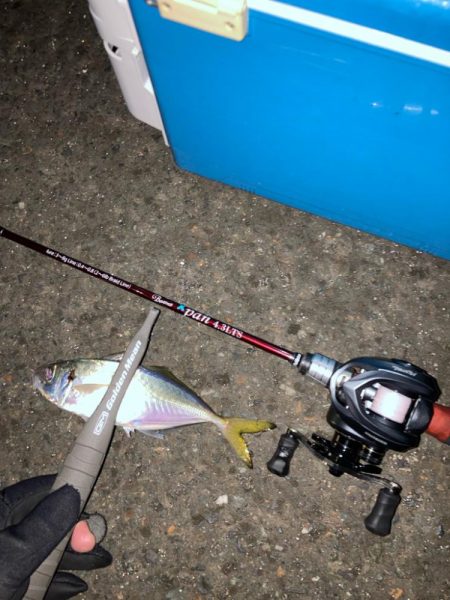 癒しのライトゲーム