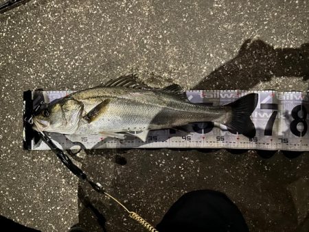 爆風と荒波で激渋な中、干潮潮止まり直前の奇…