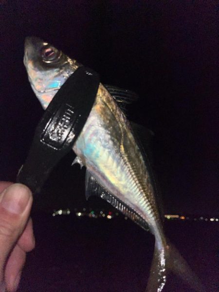 サイズがほしい