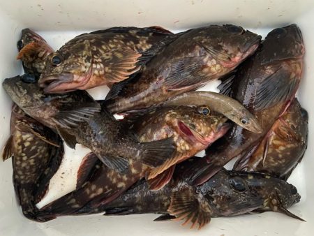 マトリックス穴ギスタ